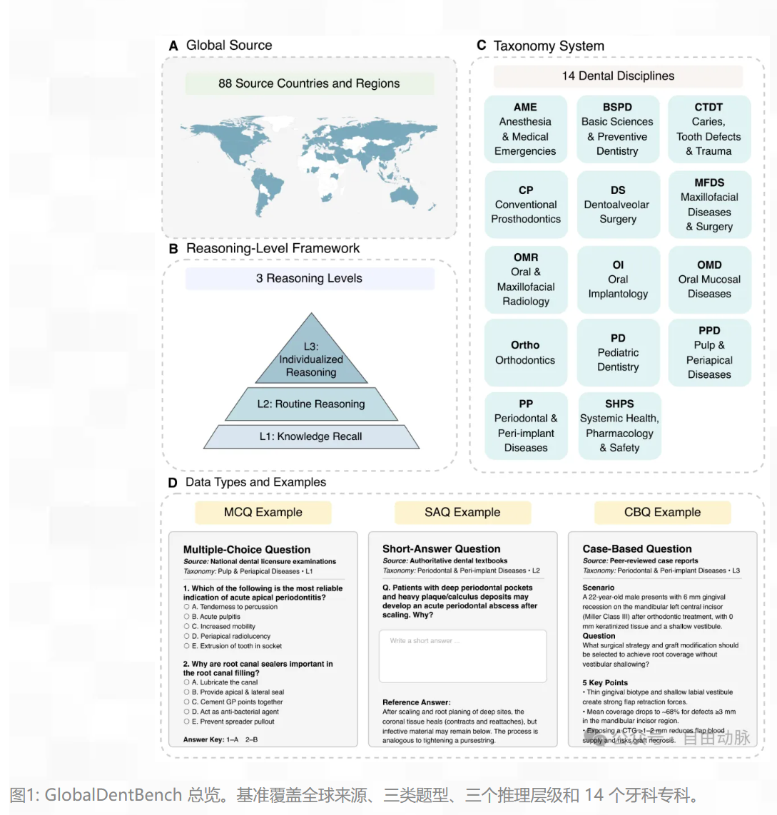 GlobalDentBench总览