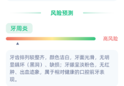 报告分析