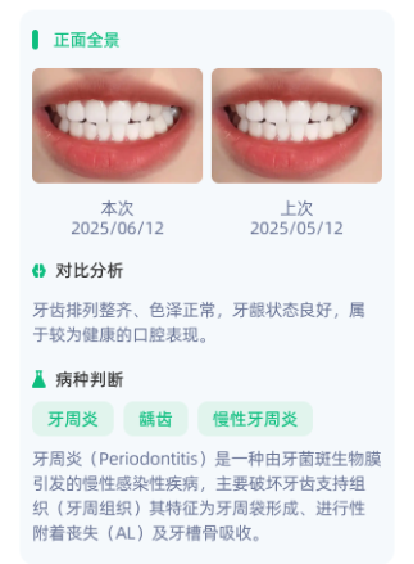 报告分析